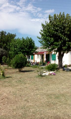 Maison  Linguizzetta - Location vacances, location saisonnire n32864 Photo n19