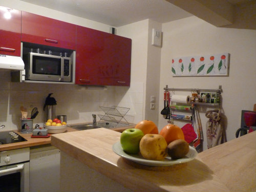 Flat in Barèges - Vacation, holiday rental ad # 32917 Picture #11 thumbnail
