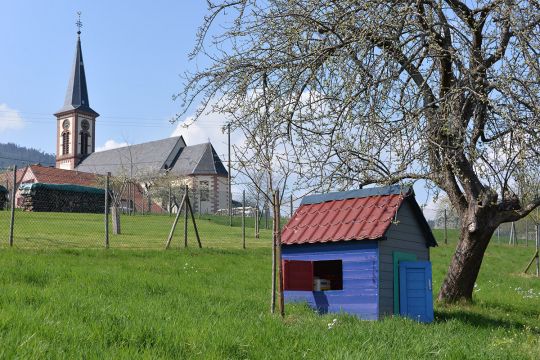 Casa rural en Thannenkirch - Detalles sobre el alquiler n32990 Foto n7