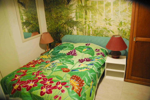 Appartement à Hyeres - Location vacances, location saisonnière n°33008 Photo n°11 thumbnail