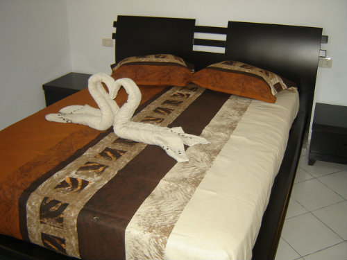 House in Djerba - Vacation, holiday rental ad # 33114 Picture #5