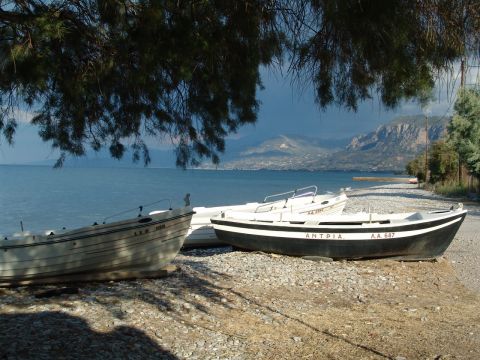 Gite in Aigion grece - Vakantie verhuur advertentie no 33252 Foto no 1