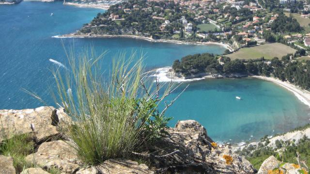 Appartement in Cassis voor  4 •   1 slaapkamer 