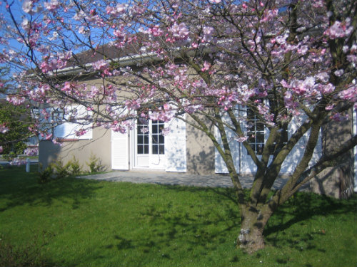 Haus Cucq - 6 Personen - Ferienwohnung