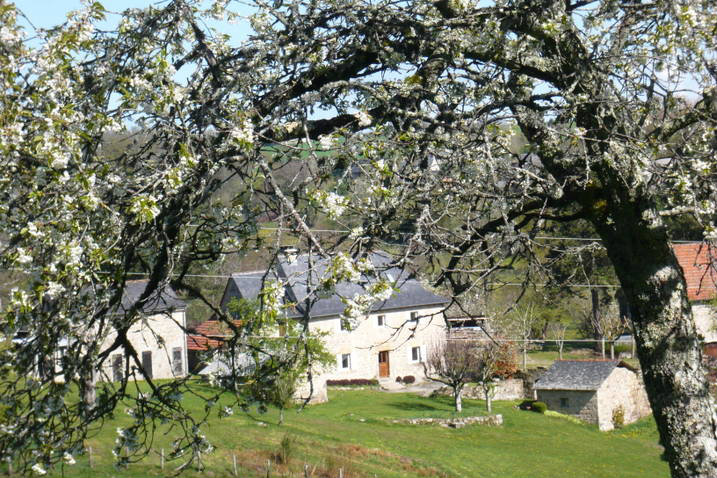 Gite Snergues - 6 personen - Vakantiewoning