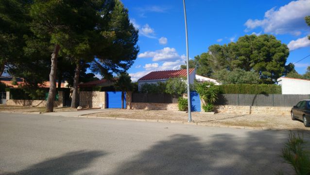 House in Calafat - Vacation, holiday rental ad # 35216 Picture #10