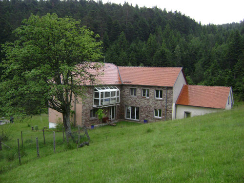 Gite Wangenbourg-engenthal - 12 personen - Vakantiewoning