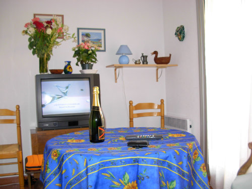 Studio in St-mandrier/mer - Vacation, holiday rental ad # 35580 Picture #1