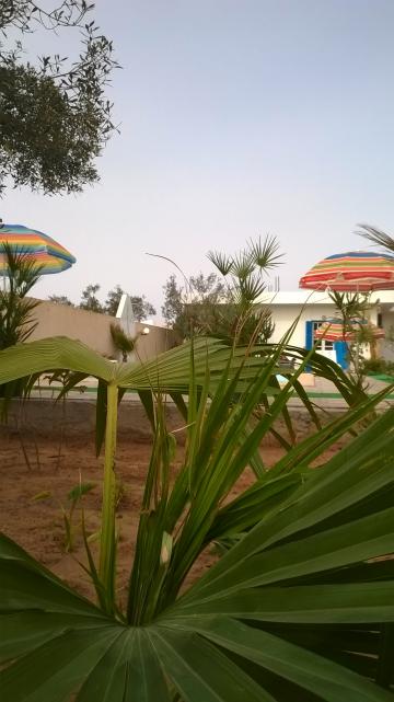 Casa en Midoun djerba para  7 •   con piscina privada 