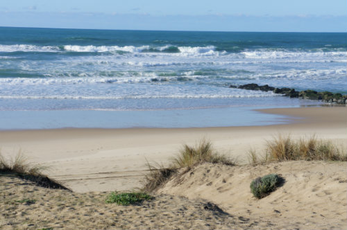 Appartement in Lacanau ocean voor  6 •   uitzicht op zee 