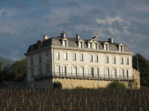 Château à Comblanchien - Location vacances, location saisonnière n°35972 Photo n°0