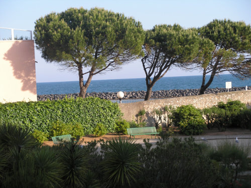 Studio in Sete - Vacation, holiday rental ad # 35981 Picture #2 thumbnail
