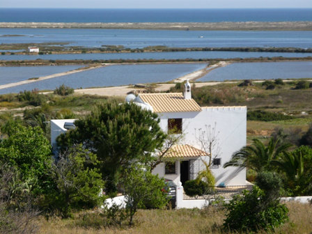 Ile Culatra Portugal photo