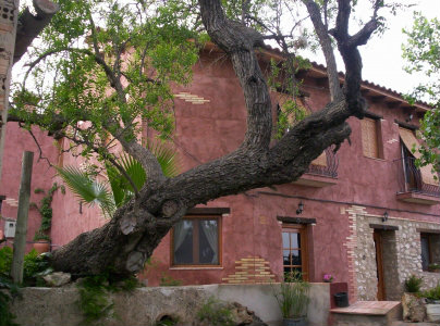 Casa rural en Camarles para  4 •   con terraza 