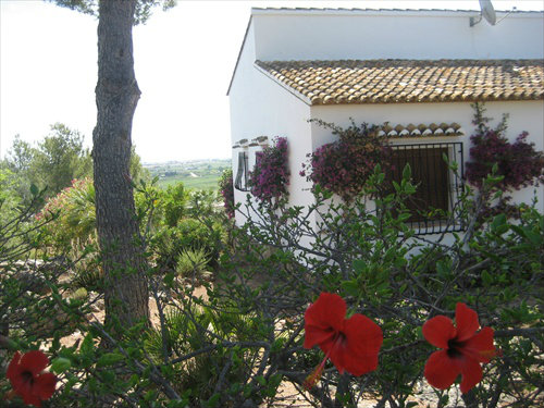 Maison à Oliva  - Location vacances, location saisonnière n°37024 Photo n°18 thumbnail