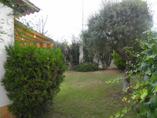 Maison à Sant Pere de Ribes - Location vacances, location saisonnière n°37101 Photo n°11