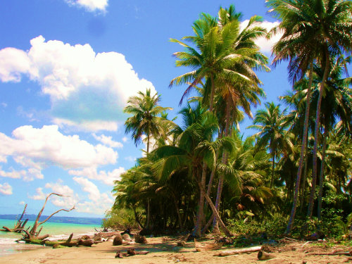 Casita de 45 m - Bungalow sur la plage de Magante, Typique et authent...