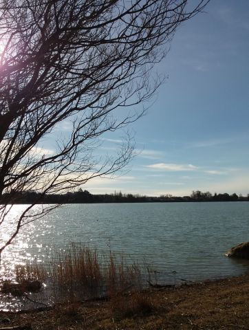 Gite à La Motte d Aigues - Location vacances, location saisonnière n°37286 Photo n°8