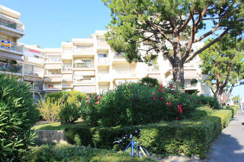 Flat in Nice- Saint laurent du var - Vacation, holiday rental ad # 37299 Picture #4