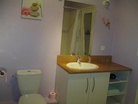 Bed and Breakfast in Saint saturnin sur loire - Vacation, holiday rental ad # 37430 Picture #5 thumbnail
