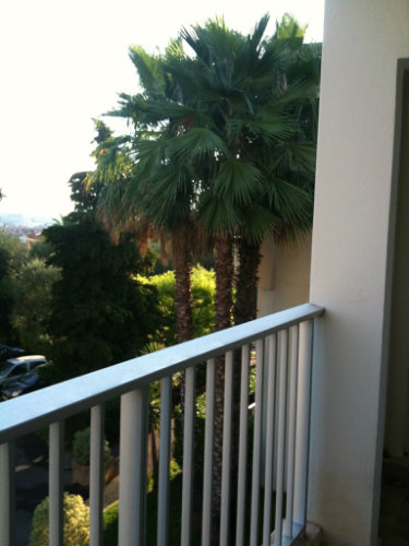 Studio in Nice - Vacation, holiday rental ad # 37546 Picture #17