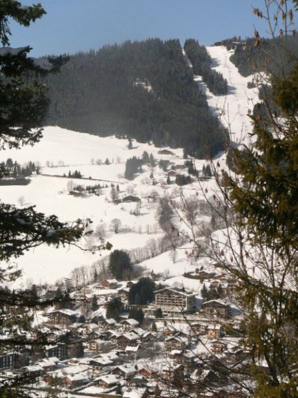 Chalet à Megève - Mont d'Arbois - Location vacances, location saisonnière n°37559 Photo n°10