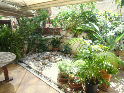 House in Barcelone - Vacation, holiday rental ad # 37581 Picture #2