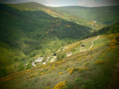 Casa rural en St andr de lancize para  4 •   con terraza 