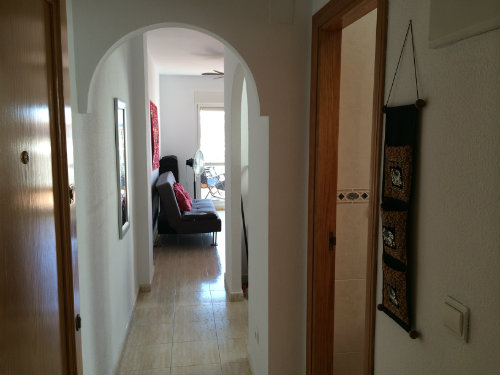 Appartement in Torrevieja - Vakantie verhuur advertentie no 38050 Foto no 4