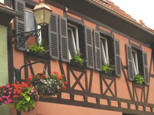 Chambres d'htes en Alsace sur la route des vins