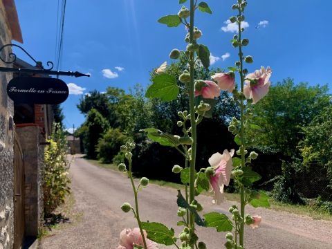 Gite  Quincerot - Location vacances, location saisonnire n38682 Photo n7