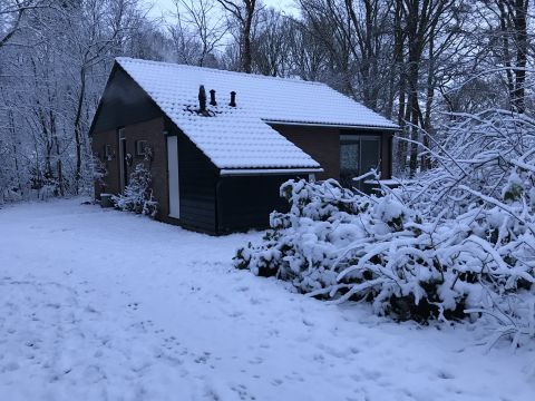 Casa en Ruinen - Detalles sobre el alquiler n38858 Foto n3