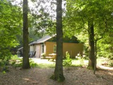 Maison Ruinen - 4 personnes - location vacances