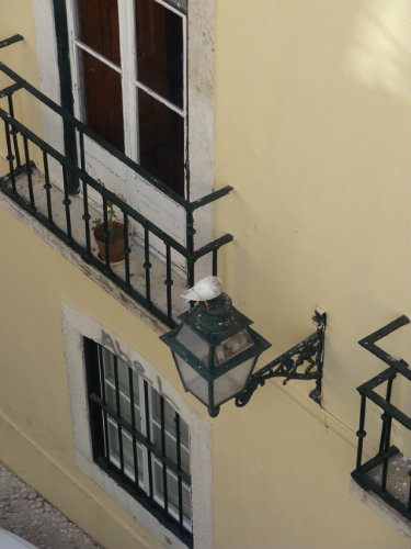 Appartement in Lisboa - Vakantie verhuur advertentie no 38863 Foto no 13