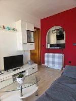 Flat in Torrevieja for   4 &bull;   &bull;  animals accepted (dog, pet...) 