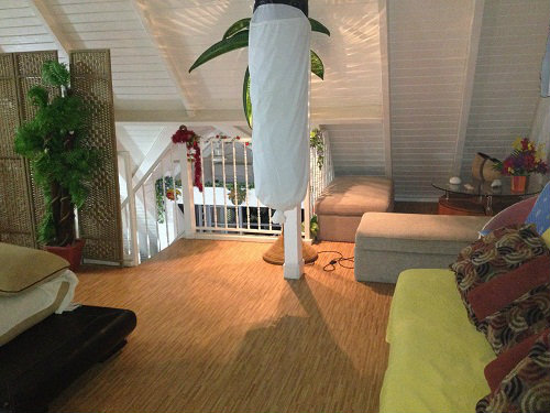 Gite in Sainte-anne - Vacation, holiday rental ad # 39170 Picture #1