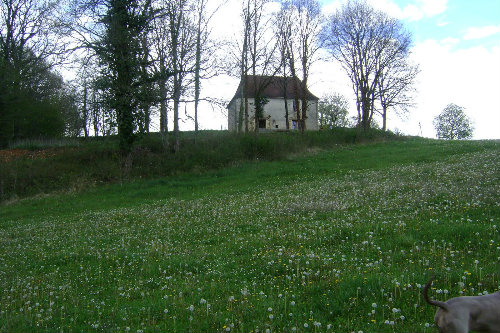 Huis in Dordogne, Rouffignac - Vakantie verhuur advertentie no 39268 Foto no 15 thumbnail