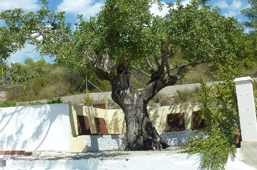 Casa de montaa en Olocau para  4 •   con piscina privada 