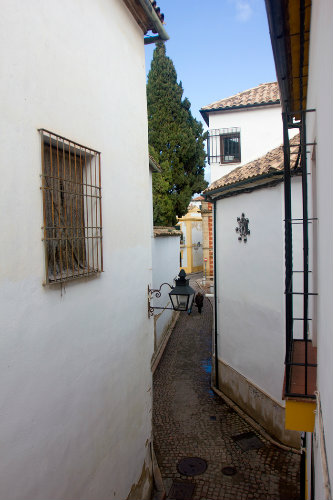 Flat in Córdoba - Vacation, holiday rental ad # 39553 Picture #12 thumbnail