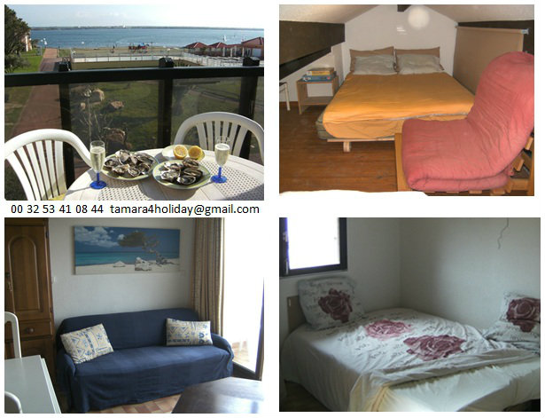 Gite in Le Barcarès - Vacation, holiday rental ad # 39697 Picture #2 thumbnail