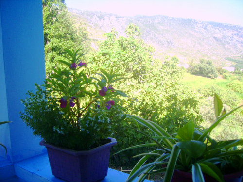 Gite in Chefchaouen - Vacation, holiday rental ad # 39856 Picture #4