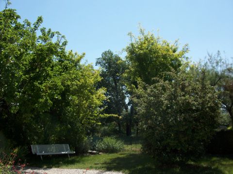 Casa en Cahors - Detalles sobre el alquiler n39861 Foto n6