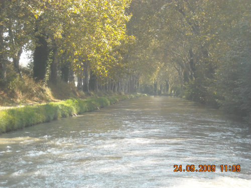 Soleil,Mer,Canal du Midi - Vacances en famille Avec votre chien 