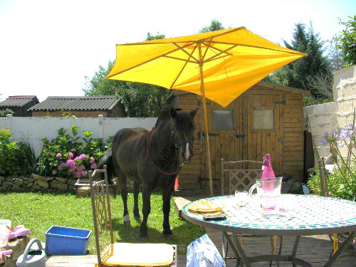 Maison à Pleumeur-Bodou - Location vacances, location saisonnière n°39901 Photo n°10 thumbnail