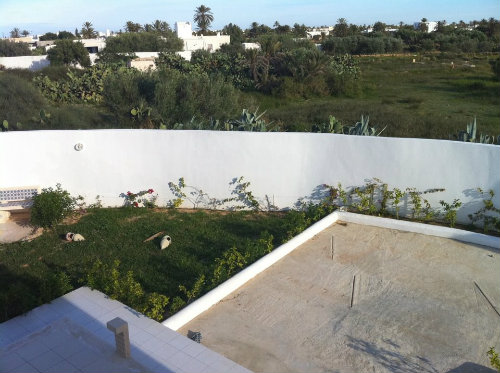 House in Djerba - Vacation, holiday rental ad # 39997 Picture #3