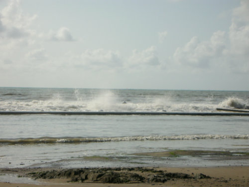Gite à St Pair sur mer - Location vacances, location saisonnière n°40130 Photo n°9 thumbnail