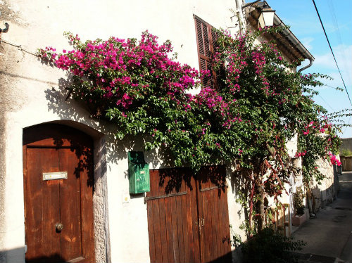 Vence -    vue sur mer 