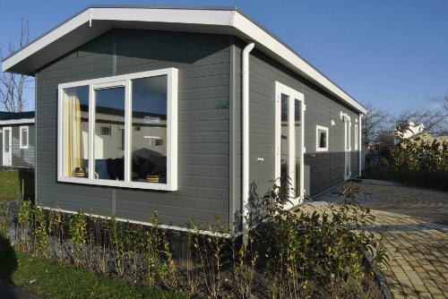 Chalet in Breskens fr  4 •   mit Terrasse 
