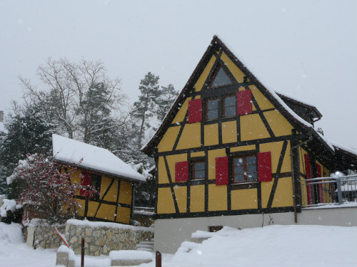 Gite à Raedersdorf - Location vacances, location saisonnière n°40236 Photo n°8