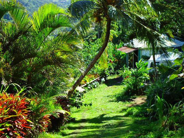 House in Saint pierre for   4 •   view on sea 